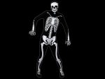 Morphsuit<br>Skelett